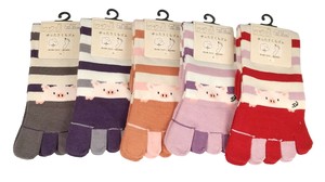No Show Socks Multi Border Socks 100% Cotton