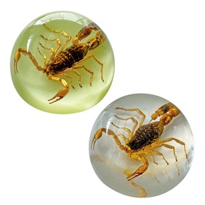 SCORPION DROP PAPER WEIGHT / スコーピオンペーパーウエイト