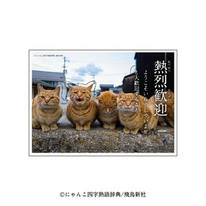 Wall Sticker Cat