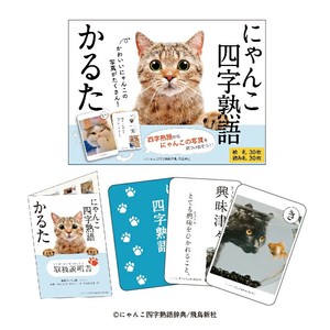 Karuta Cat