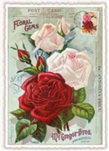 Postcard Roses Lame Die-cut