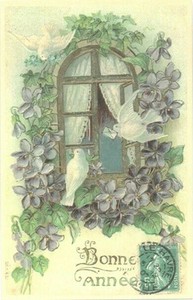 Postcard