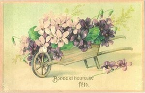 ■輸入ポストカード■ フランス　トゥールーズ(ヴィオレット)　すみれ　ポストカード