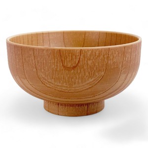 Tableware Lacquerware Dishwasher Safe Made in Japan