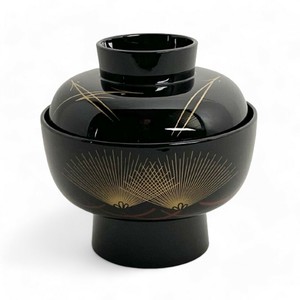 餐盘餐具 耐热 洗碗机对应 漆器 4寸 340cc 11.2cm 日本制造