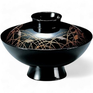 餐盘餐具 洗碗机对应 漆器 4寸 12.9cm 日本制造