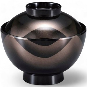 餐盘餐具 洗碗机对应 漆器 11.2cm 日本制造