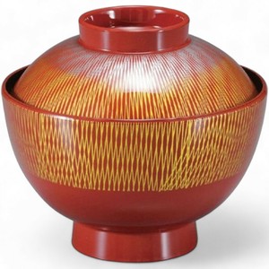餐盘餐具 洗碗机对应 漆器 11.2cm 日本制造