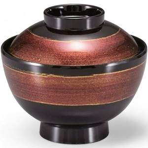 餐盘餐具 洗碗机对应 漆器 11.2cm 日本制造