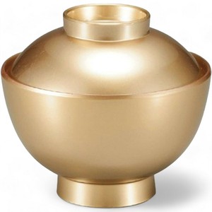 餐盘餐具 洗碗机对应 漆器 11.2cm 日本制造