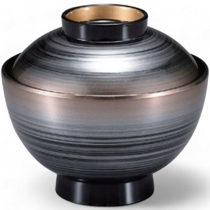 餐盘餐具 洗碗机对应 漆器 11.2cm 日本制造