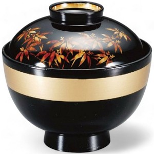 餐盘餐具 洗碗机对应 漆器 10.1cm 日本制造