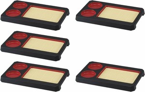 Tableware Lacquerware 30.2 x 19 x 2.5cm Set of 5 Made in Japan
