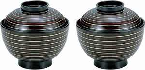Tableware Lacquerware Dishwasher Safe 2-pcs