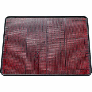 Tableware Lacquerware Dishwasher Safe Made in Japan