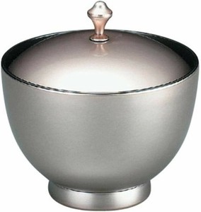 餐盘餐具 洗碗机对应 漆器 10.2cm 日本制造