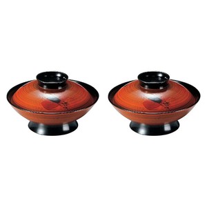 Tableware Lacquerware Dishwasher Safe 2-pcs 5.8-sun