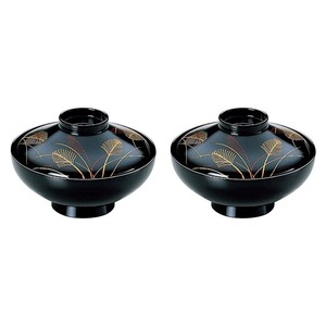 餐盘餐具 洗碗机对应 漆器 2个
