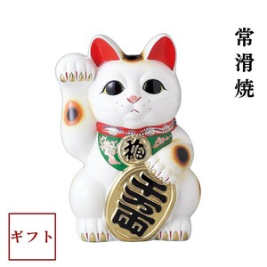 [ギフト]箱入り  白小判猫4号〜10号　右手 常滑焼 日本製