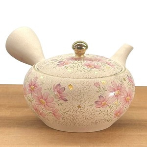【常滑焼急須/日本製】晶窯白泥平丸形金タタキ秋桜柄急須