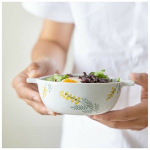 Hasami ware Donburi Bowl Japanese Style Arita ware Mimosa