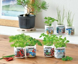 【聖新陶芸】お芽でたおちょこ　JAPAN