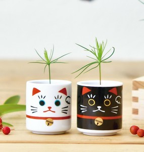 【聖新陶芸】お芽でた　おちょこ招き