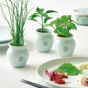 【聖新陶芸】TSUBO