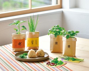 【聖新陶芸】TSUTSUMI