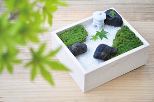 【聖新陶芸】苔盆