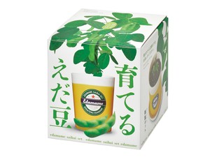 【聖新陶芸】育てるえだ豆栽培セット