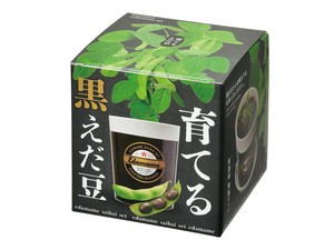 【聖新陶芸】育てる黒枝豆栽培セット