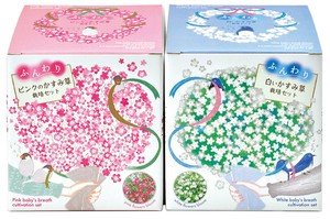 【聖新陶芸】ふんわりかすみ草栽培セット