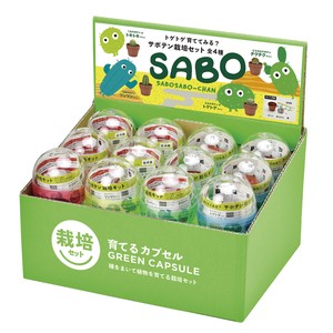 【聖新陶芸】育てるカプセル　　サボテン