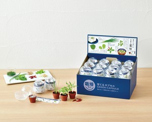 【聖新陶芸】育てるカプセル　　薬味