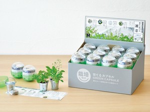 【聖新陶芸】育てるカプセル　雑草