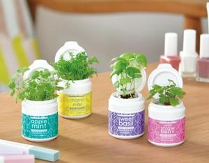 【聖新陶芸】ミニボトル　ハーブス