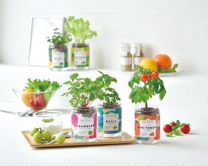 【聖新陶芸】グリーンペット