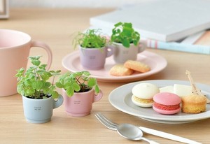 【聖新陶芸】カラーミーアップマグ