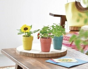 【聖新陶芸】ボタニカルポット