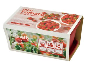 【聖新陶芸】エンジョイプランター　ベジ　　ミニトマト