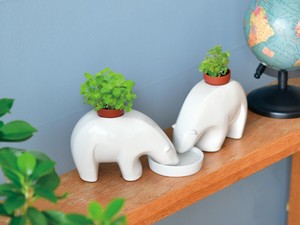 【聖新陶芸】ポーラーベアプラント