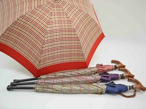 Umbrella