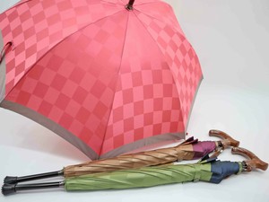 新作　つえがさ　甲州織り　市松格子　UV加工