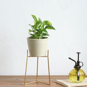Flower Vase