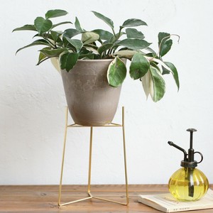 Flower Vase