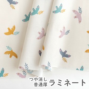 棉布