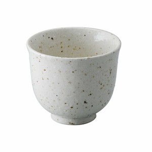 Mino ware Japanese Teacup