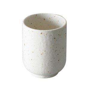Mino ware Japanese Teacup