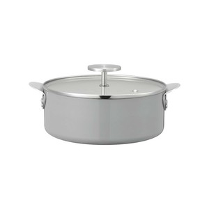 Pot IH Compatible 20cm